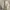 Alpha Industries Casual Track Jacket Pria Tan