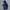 Jaket Outdoor Lafuma Gorpcore Waterproof photo 1