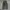 Seven by Seven JPN chino longpants washed moss green, Loose  photo 3