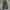 Seven by Seven JPN chino longpants washed moss green, Loose  photo 6