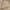 ZARA Vintage Y2K Wide leg jeans Wanita tan photo 8