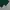 Wego ralaxed longpants dark green, Loose Fit photo 8