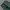 Wego ralaxed longpants dark green, Loose Fit photo 7