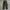 Freak's Store Fatigue Carpenter longpants olive green, Regul photo 6