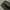 Freak's Store Fatigue Carpenter longpants olive green, Regul photo 7