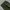TK MIXPICE JPN Fatigue longpants green army, Loose Fit photo 3