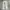 Back Number Cargo longpants broken white, Loose Fit photo 3