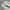 Back Number Cargo longpants broken white, Loose Fit photo 4