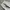 Back Number Cargo longpants broken white, Loose Fit photo 7