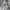 Back Number Cargo longpants broken white, Loose Fit photo 5