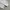 Back Number Cargo longpants broken white, Loose Fit photo 8