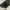 JACKET COAT PARKA MILITARY NIX photo 5
