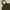 JACKET COAT PARKA MILITARY NIX photo 3
