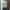 Cardigan - Outer Kancing Gliter  photo 1