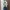 Cardigan - Outer Kancing  Gliter  photo 1