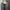 Carigan - Outer Crop  photo 3