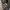 Carigan - Outer Crop  photo 5