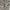 Carigan - Outer Crop  photo 7