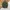 Jansport Big Student Camo Original photo 4