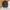 Jansport Big Student Camo Original photo 1
