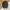 Jansport Big Student Camo Original