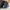 Jansport Big Student Camo Original photo 5