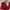 Lolita Casual Going Out Dress Wanita Burgundy