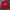 Acover  Globe Sweatshirt Red