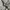Vintage Cerruti 1881 Watch (White Gold photo 1