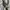 Vintage Cerruti 1881 Watch (White Gold photo 2