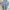 ZARA Casual Shirt dress Wanita blue photo 4