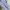 ZARA Casual Shirt dress Wanita blue photo 6