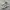 asics tharter sc photo 1