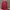 Bluemont 15L Backpack Mini photo 1