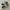 onitsuka horizonia photo 1