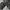 Nike shox TL triple black photo 6