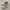 onitsuka horizonia photo 1