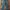 Jean Paul Gaultier Luxury Casual Jeans Pria green photo 3