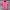 Y2k Diesel Neck Ring Design Top Tee Pink