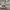 bundle vans slip on & authentic one  photo 3