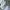 Adidas Streetwear Sportswear Sneakers Pria white black photo 6
