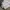 MosZ Windbreaker Track jacket not adidas not uniqlo photo 4