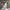 MosZ Windbreaker Track jacket not adidas not uniqlo photo 7