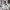 MosZ Windbreaker Track jacket not adidas not uniqlo photo 2