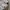 MosZ Windbreaker Track jacket not adidas not uniqlo photo 6
