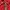 K-Way Sportswear Casual Windbreaker Pria red photo 4