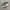 vans slipon checkerboard photo 1