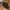 LOTUFF Genuine Leather Satchel Cross Messenger Bag photo 2