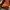 EVERBEST PRIVY TAN photo 2