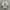 vans olskool photo 4